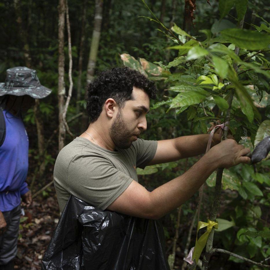 What would happen if the Amazon rainforest dried out? This decades-long experiment has some answers